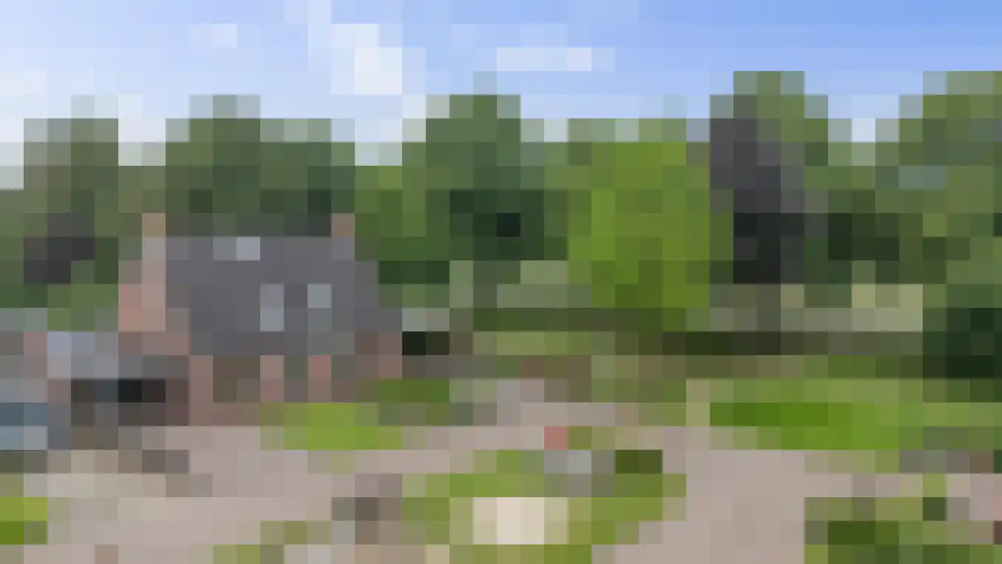 't Rak 49 Schoonebeek thumbnail 5