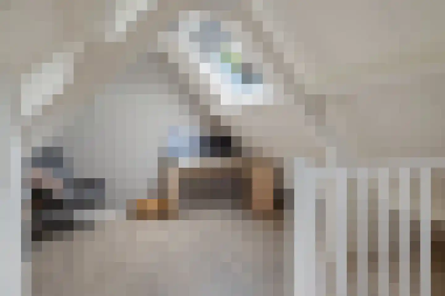 't Rak 49 Schoonebeek thumbnail 50