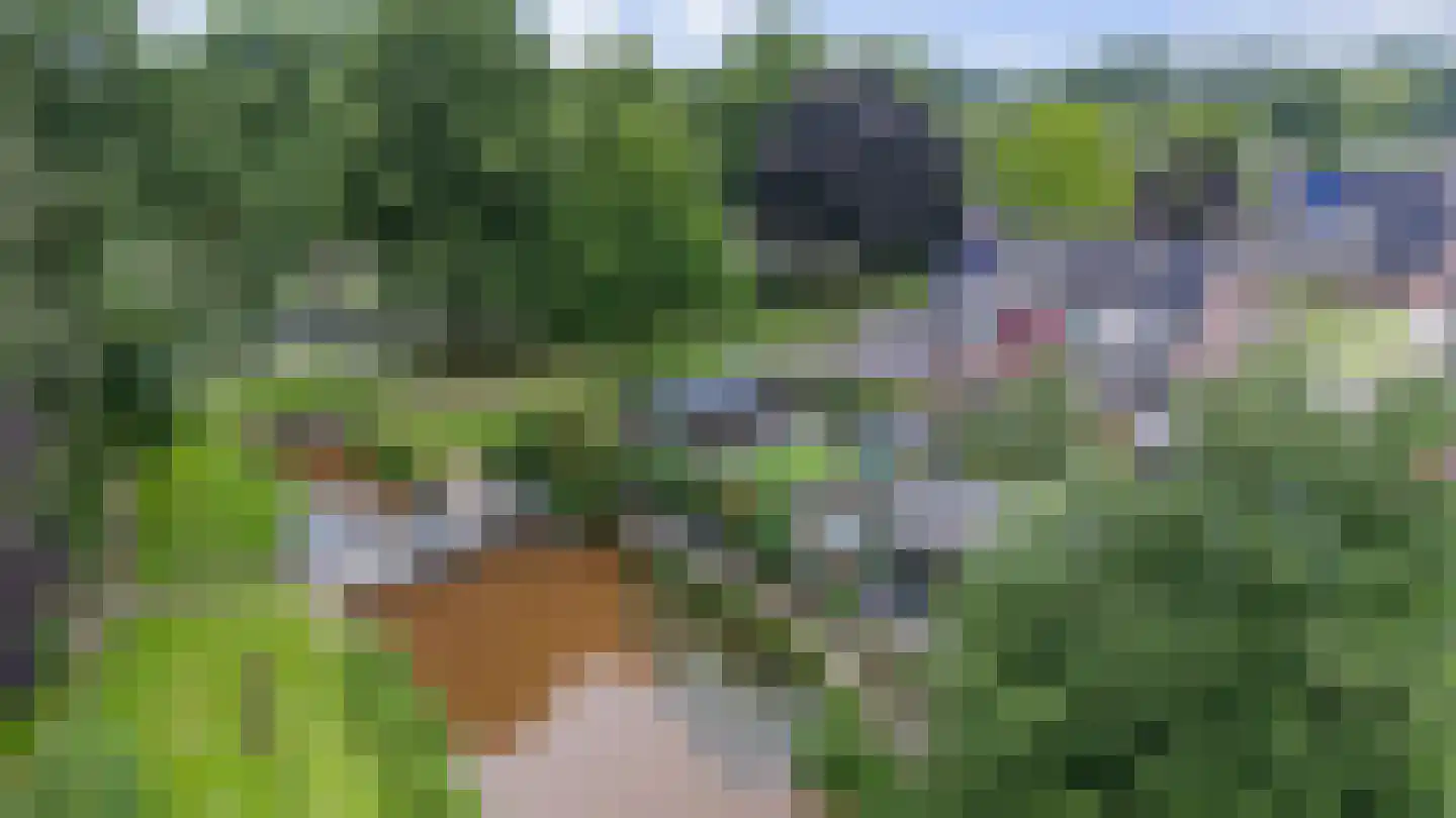 't Rak 49 Schoonebeek thumbnail 9