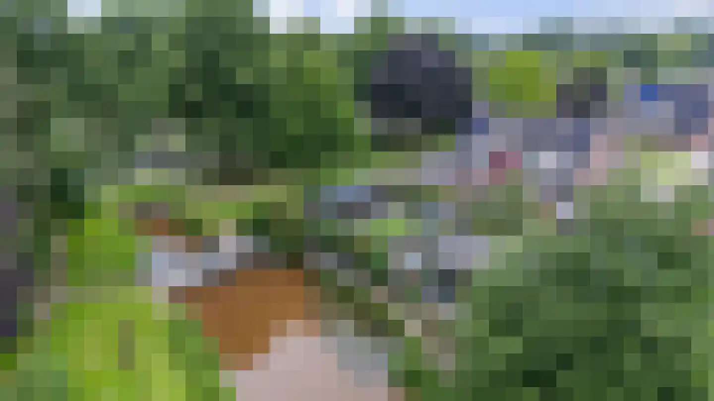 't Rak 49 Schoonebeek thumbnail 9