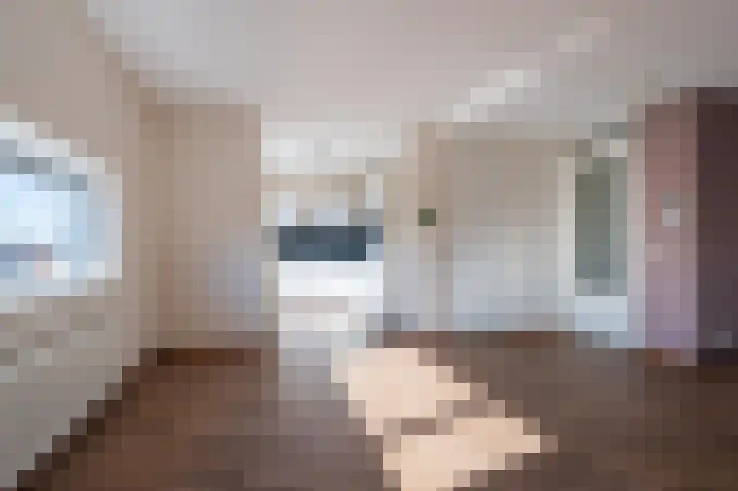 't Raodhusj 29 Meijel thumbnail 11