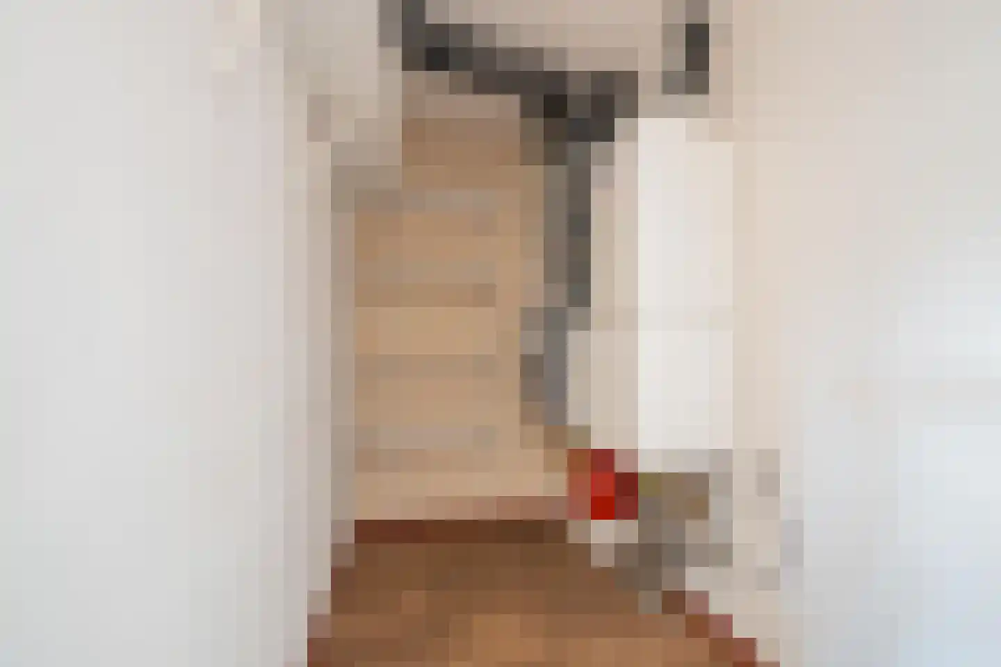 't Raodhusj 29 Meijel thumbnail 22