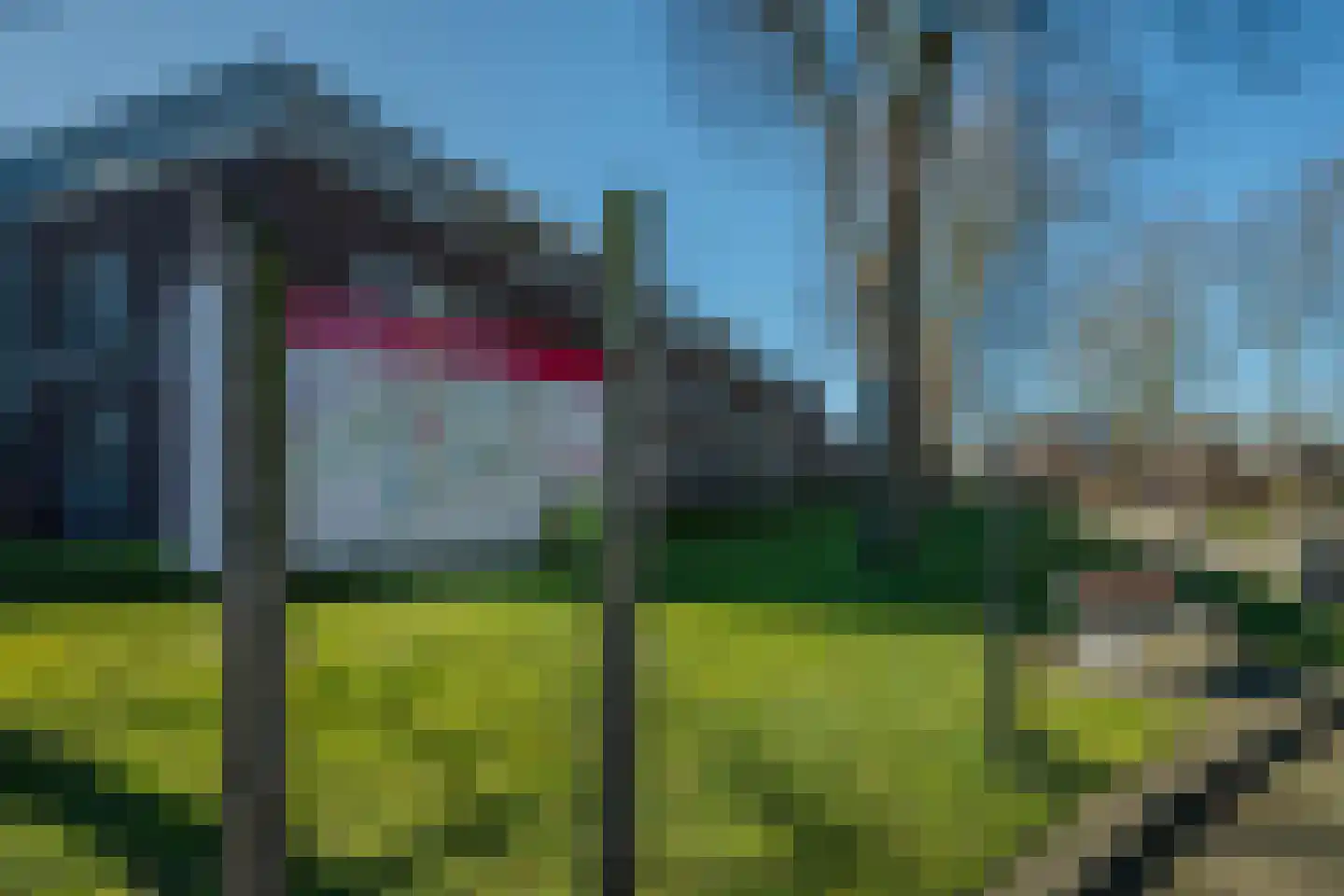 't Raodhusj 29 Meijel thumbnail 44