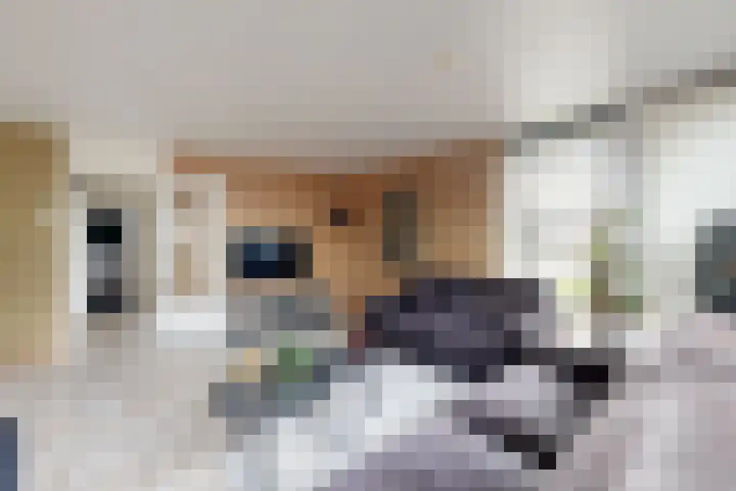 't Ravelijn 17 Klundert thumbnail 12