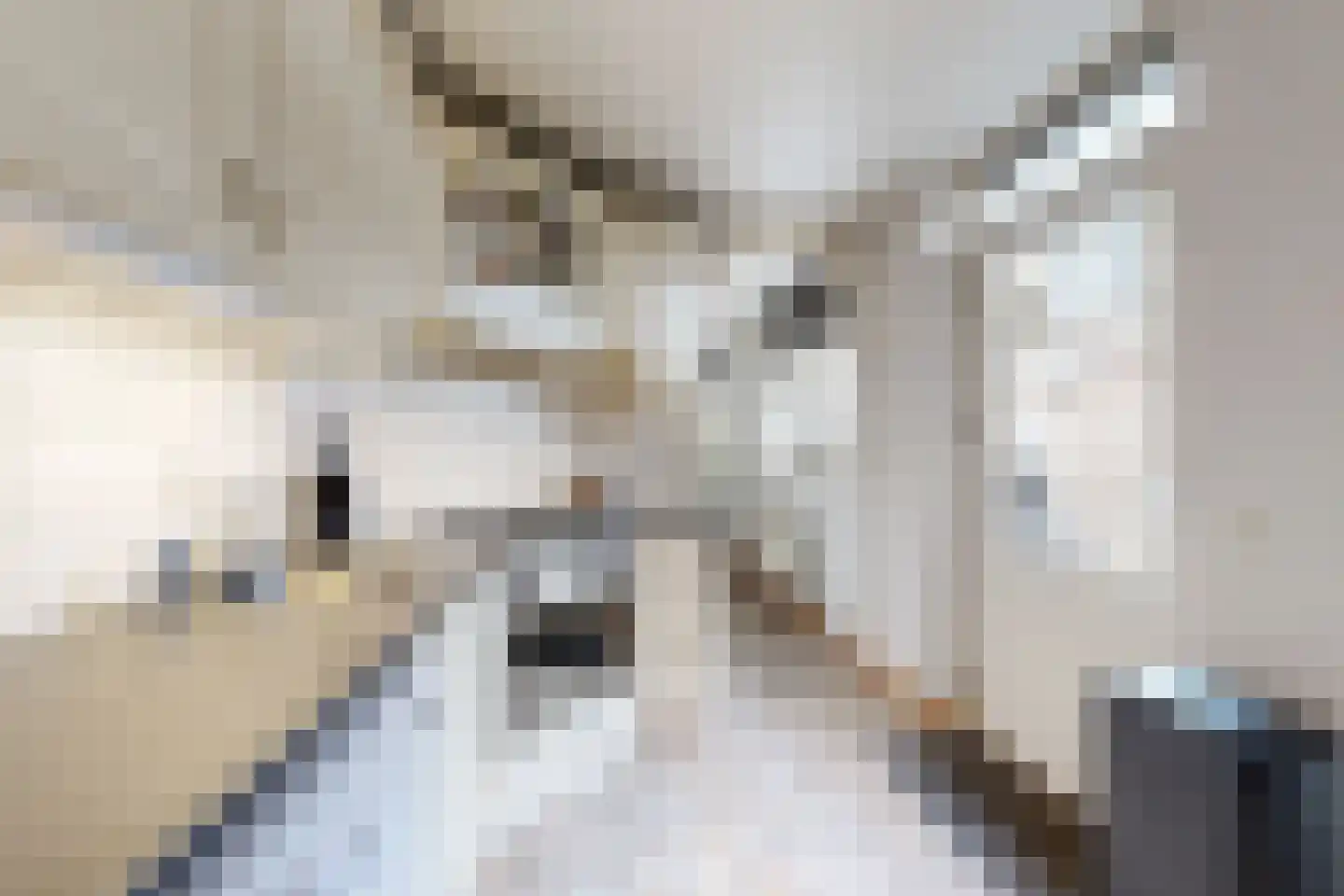 't Ravelijn 17 Klundert thumbnail 21
