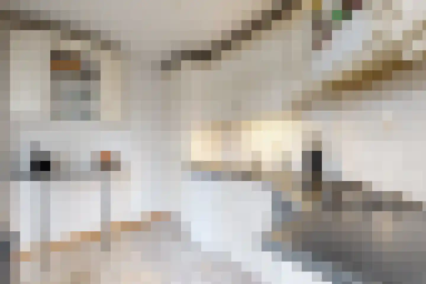 't Ravelijn 17 Klundert thumbnail 22