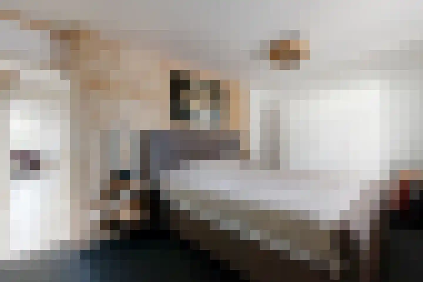 't Ravelijn 17 Klundert thumbnail 28