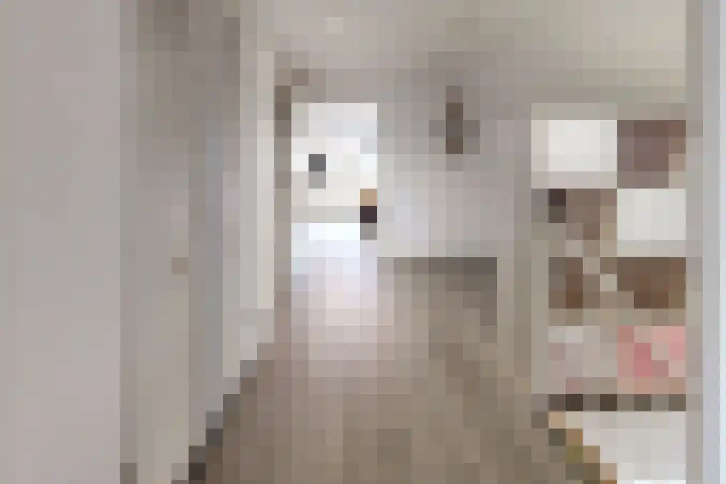 't Ravelijn 17 Klundert thumbnail 36