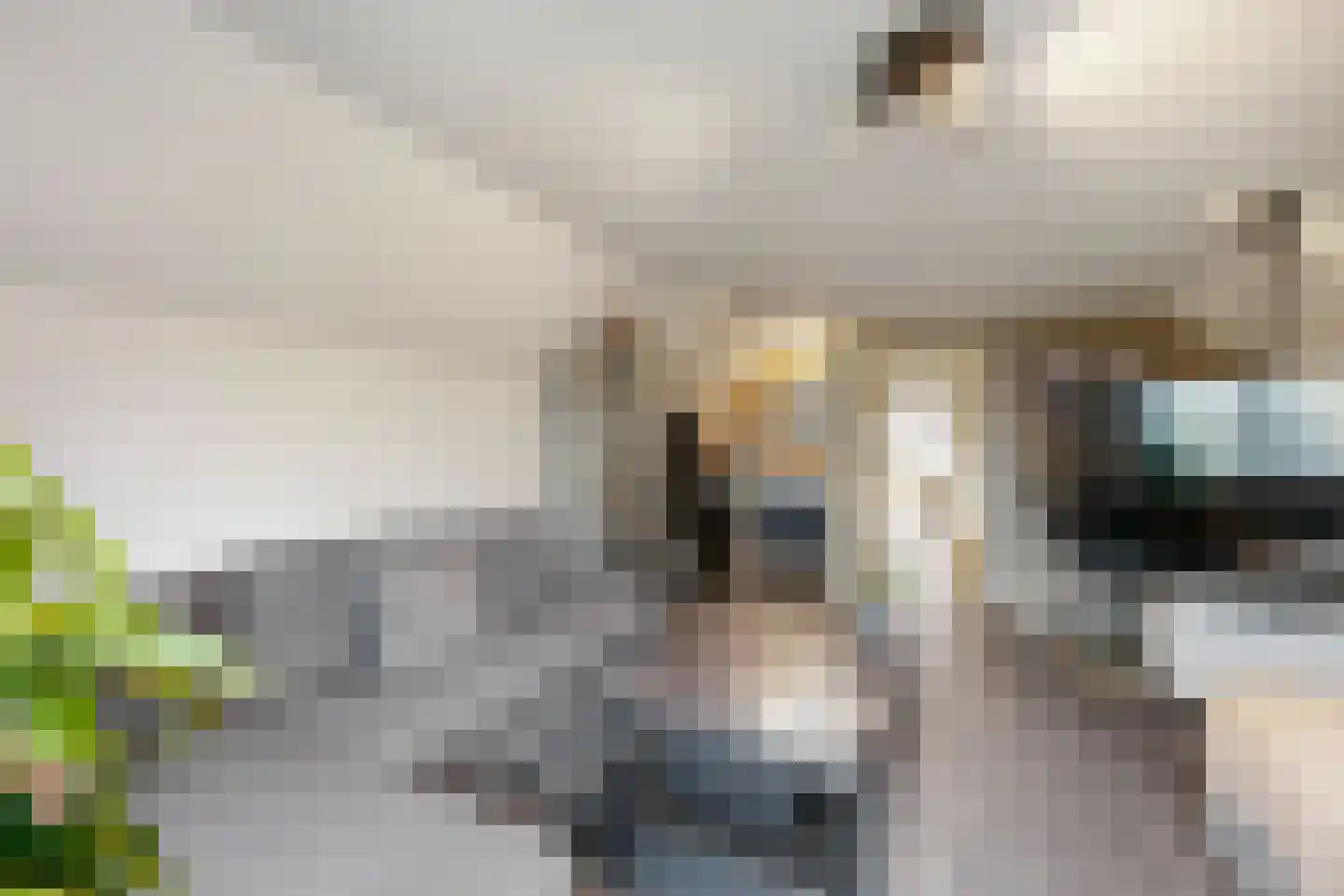 't Ravelijn 17 Klundert thumbnail 46