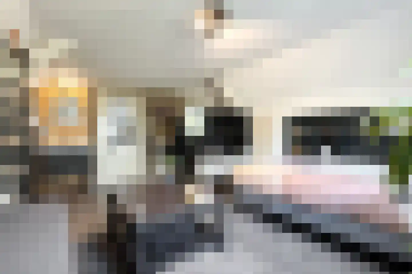 't Ravelijn 17 Klundert thumbnail 47