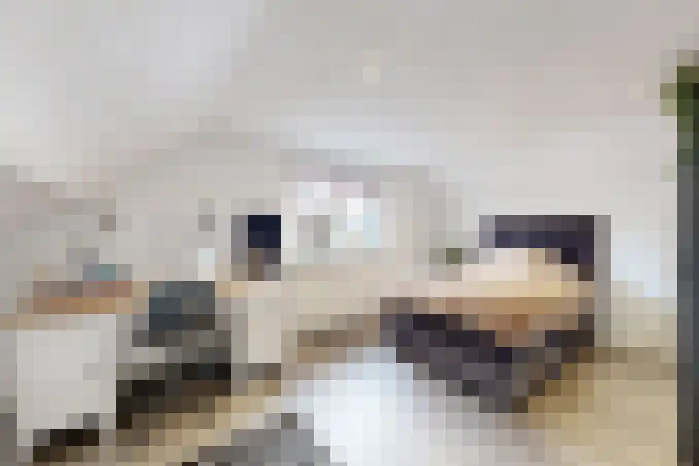 't Ravelijn 17 Klundert thumbnail 51