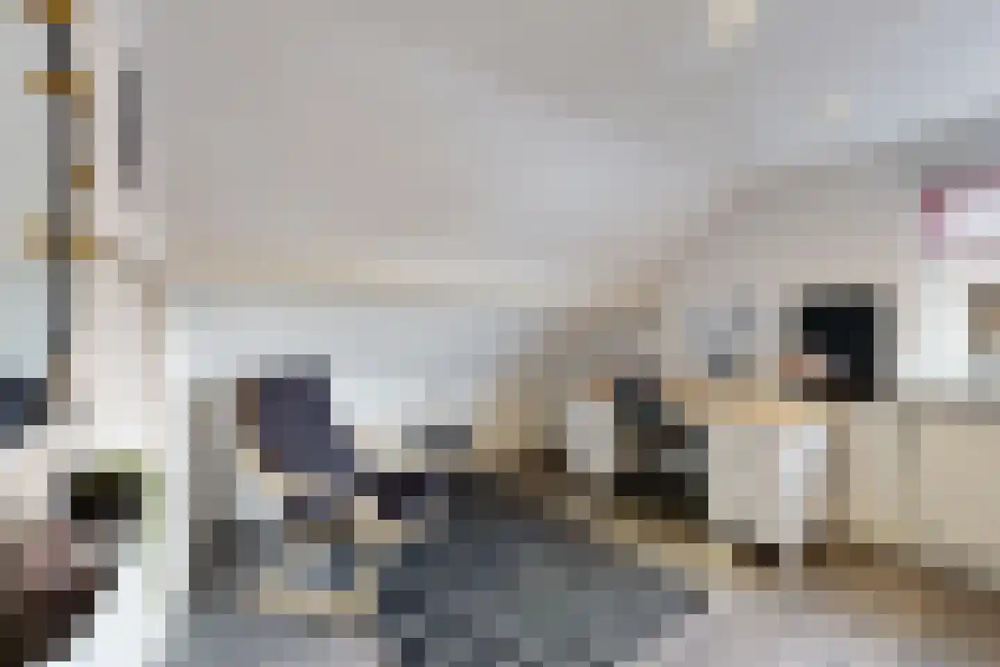 't Ravelijn 17 Klundert thumbnail 54