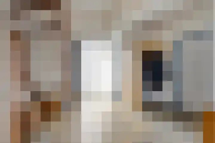 't Ravelijn 33 Klundert thumbnail 11