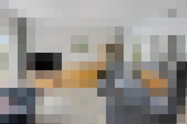 't Ravelijn 33 Klundert thumbnail 12