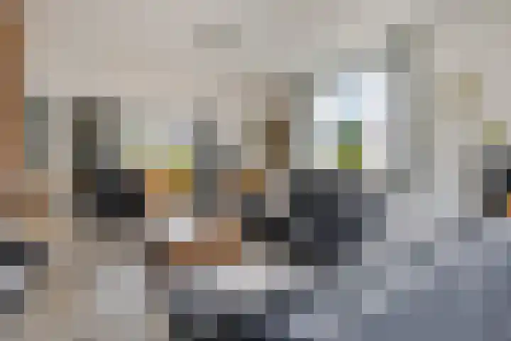 't Ravelijn 33 Klundert thumbnail 18
