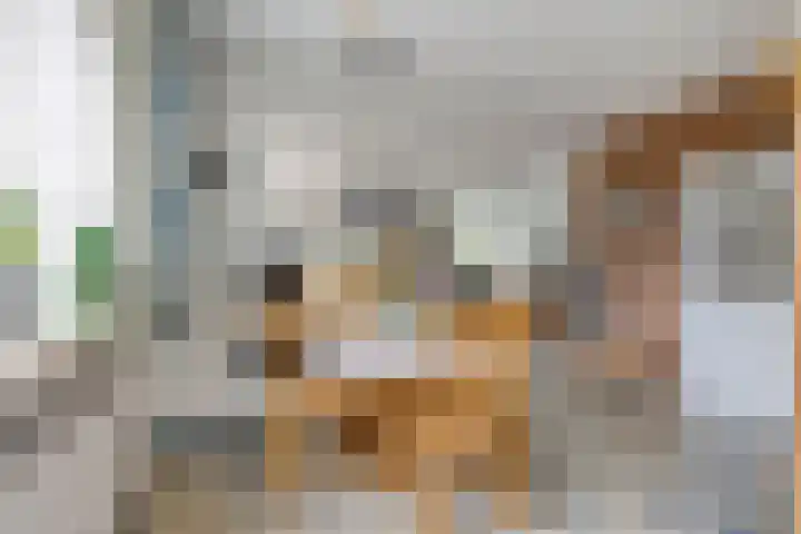 't Ravelijn 33 Klundert thumbnail 22