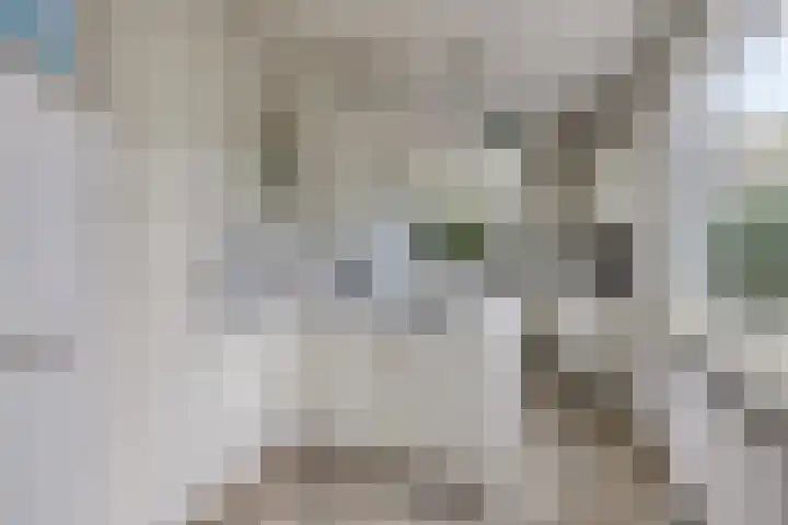 't Ravelijn 33 Klundert thumbnail 25