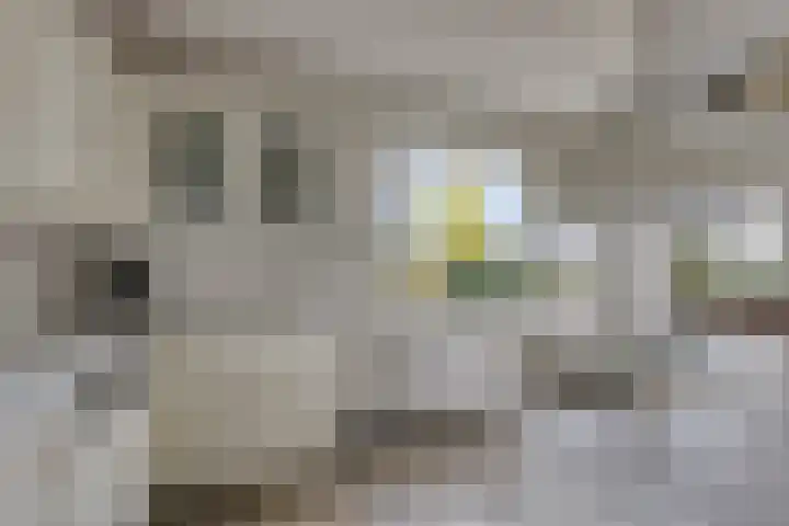 't Ravelijn 33 Klundert thumbnail 26
