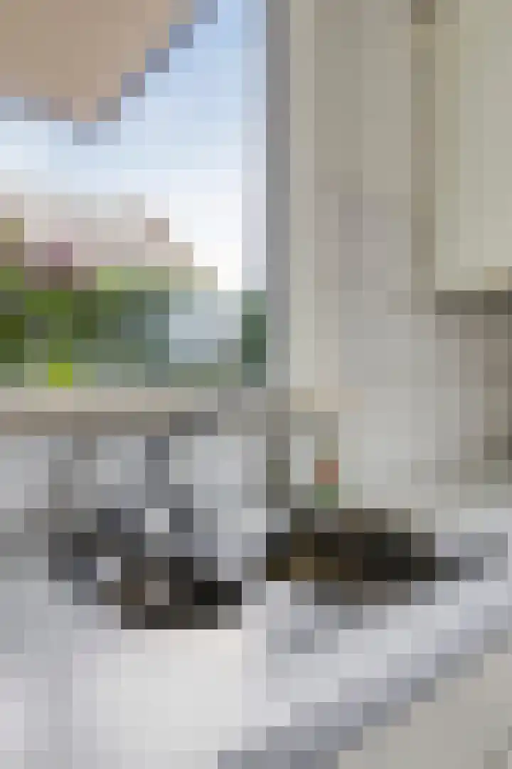 't Ravelijn 33 Klundert thumbnail 27