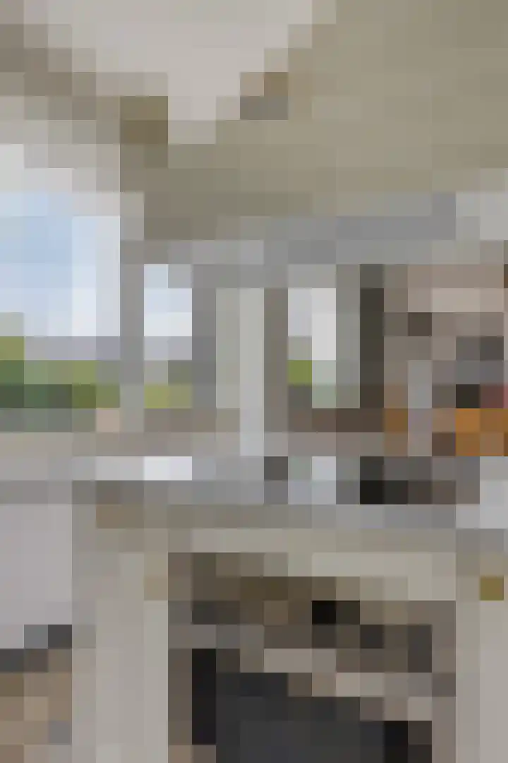 't Ravelijn 33 Klundert thumbnail 28