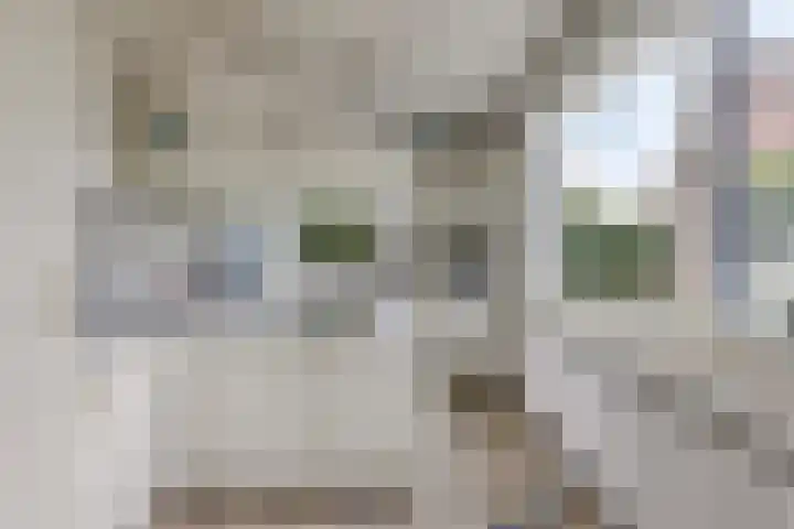 't Ravelijn 33 Klundert foto 3