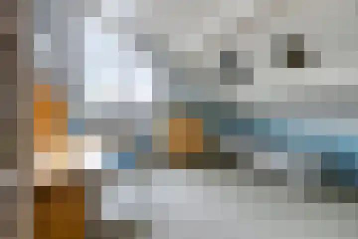 't Ravelijn 33 Klundert thumbnail 39