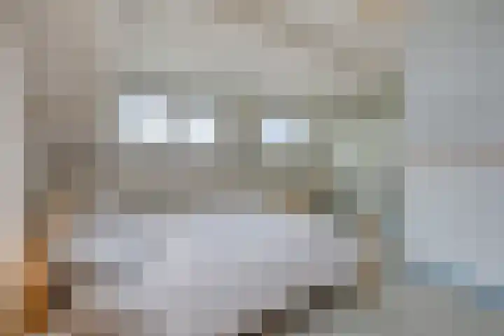 't Ravelijn 33 Klundert thumbnail 4