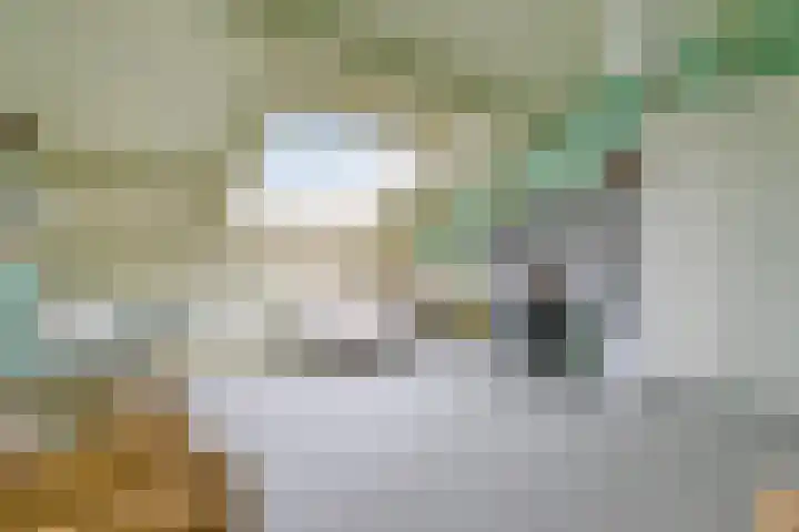 't Ravelijn 33 Klundert thumbnail 40
