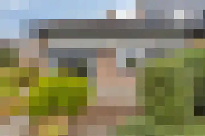 't Ravelijn 33 Klundert thumbnail 45
