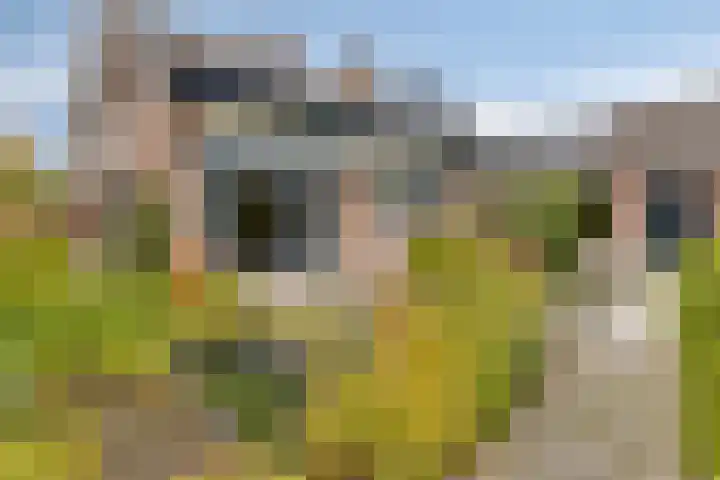 't Ravelijn 33 Klundert thumbnail 46