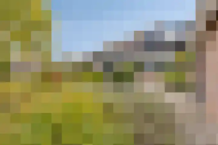 't Ravelijn 33 Klundert thumbnail 48