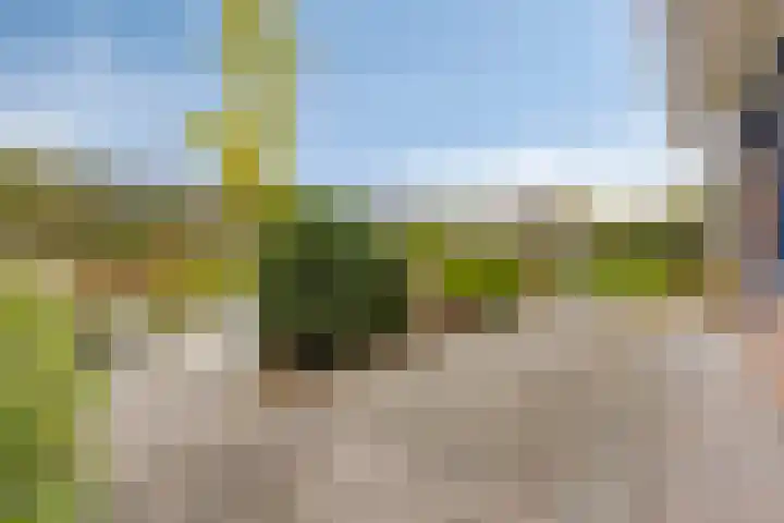 't Ravelijn 33 Klundert thumbnail 49