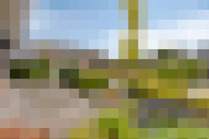 't Ravelijn 33 Klundert thumbnail 50