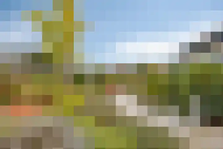 't Ravelijn 33 Klundert thumbnail 51