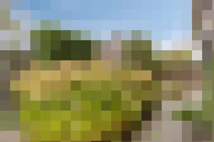 't Ravelijn 33 Klundert thumbnail 52