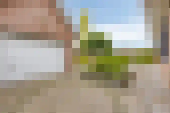 't Ravelijn 33 Klundert thumbnail 56