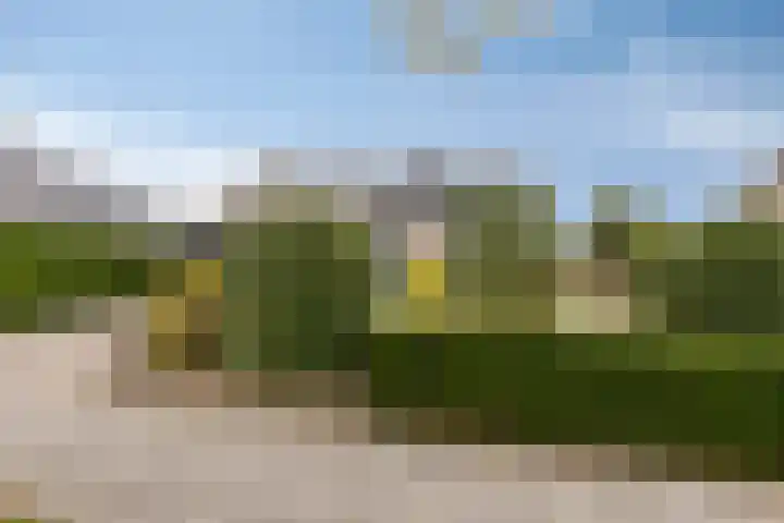 't Ravelijn 33 Klundert thumbnail 58