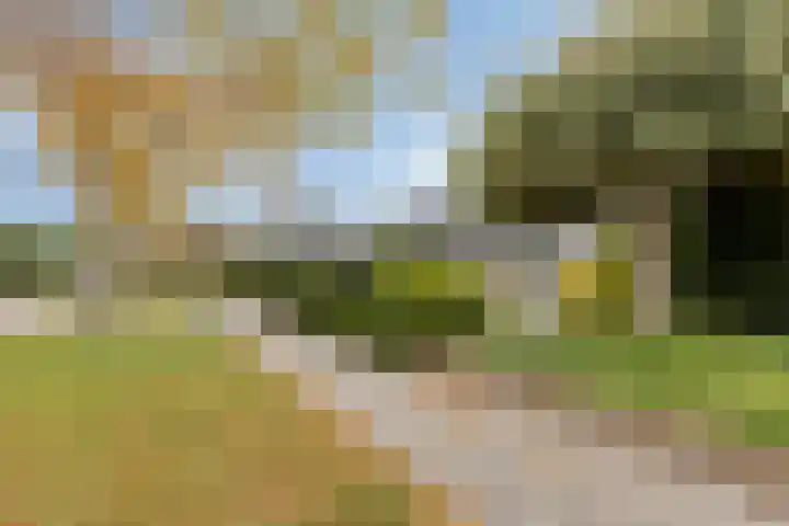 't Ravelijn 33 Klundert thumbnail 59