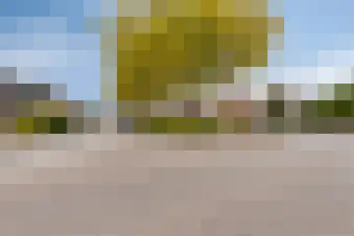 't Ravelijn 33 Klundert thumbnail 60