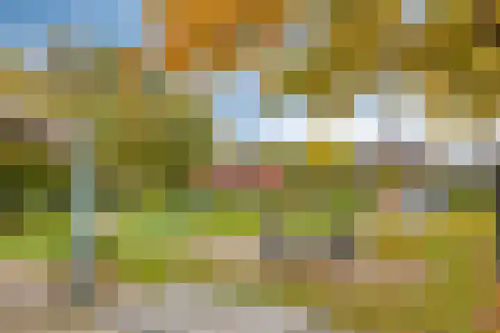 't Ravelijn 33 Klundert thumbnail 61