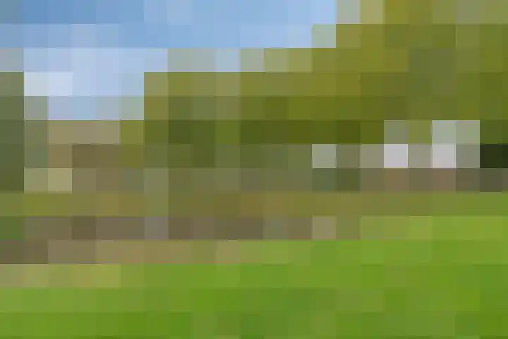 't Ravelijn 33 Klundert thumbnail 62