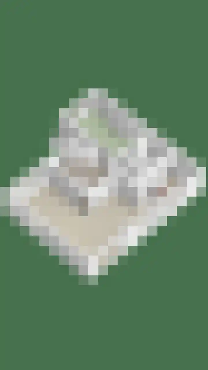 't Ravelijn 33 Klundert thumbnail 68