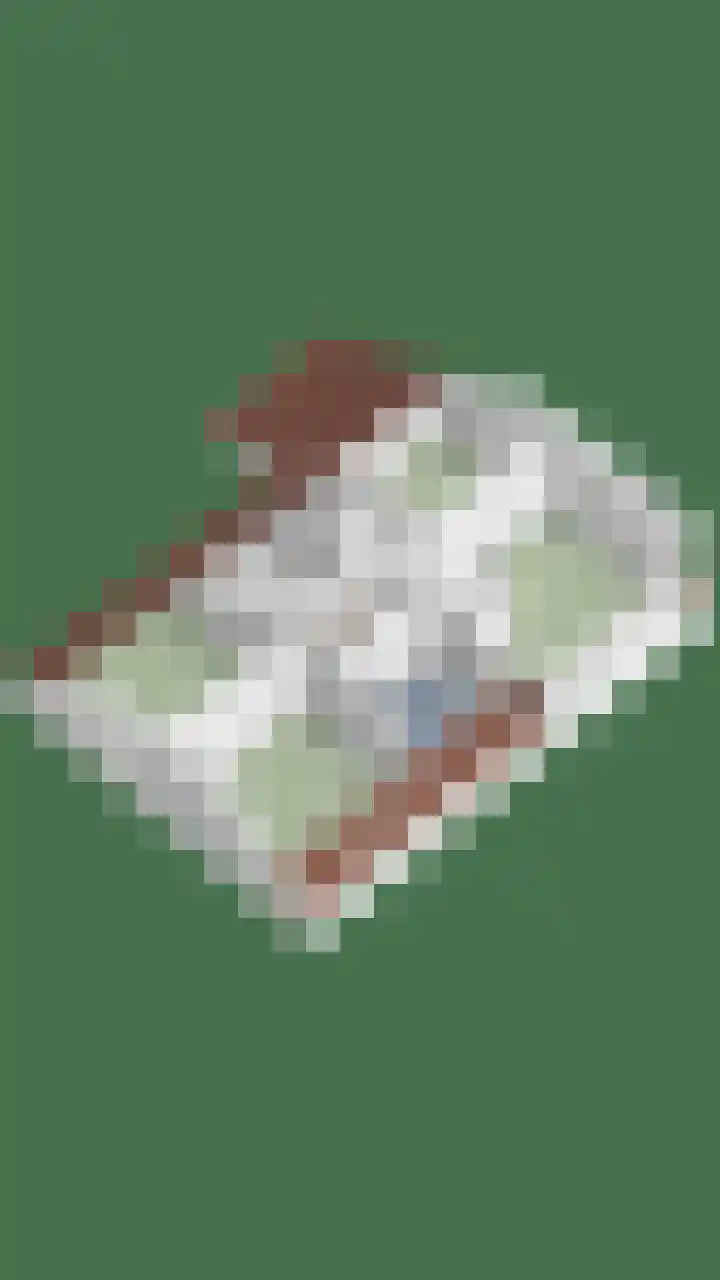 't Ravelijn 33 Klundert thumbnail 69