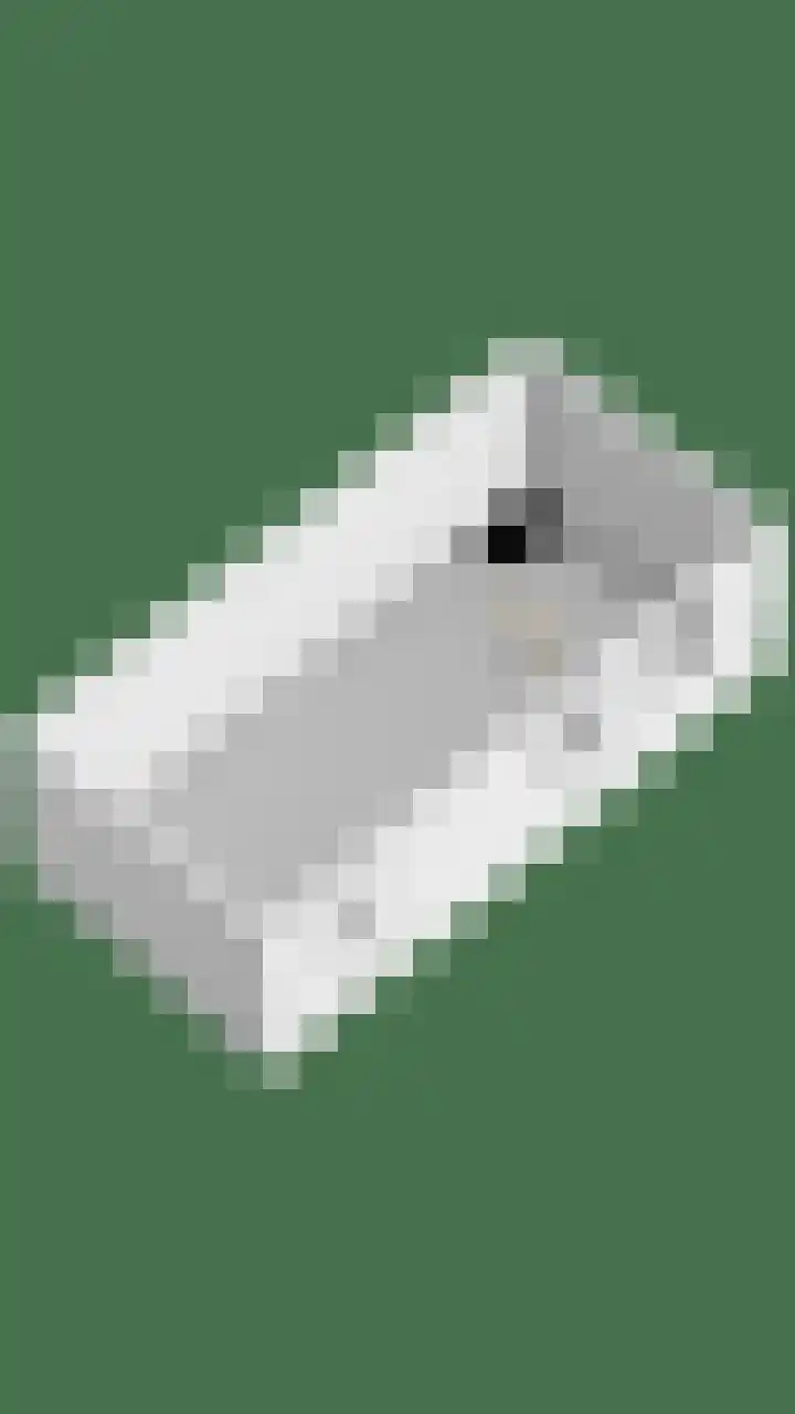 't Ravelijn 33 Klundert thumbnail 71