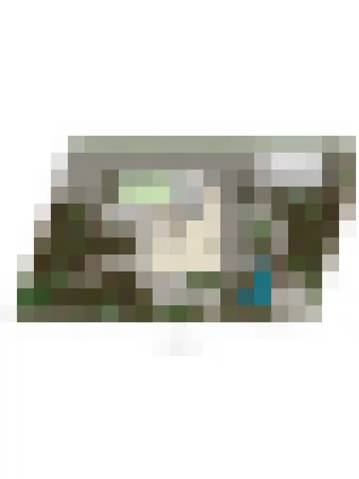 't Ravelijn 33 Klundert thumbnail 72