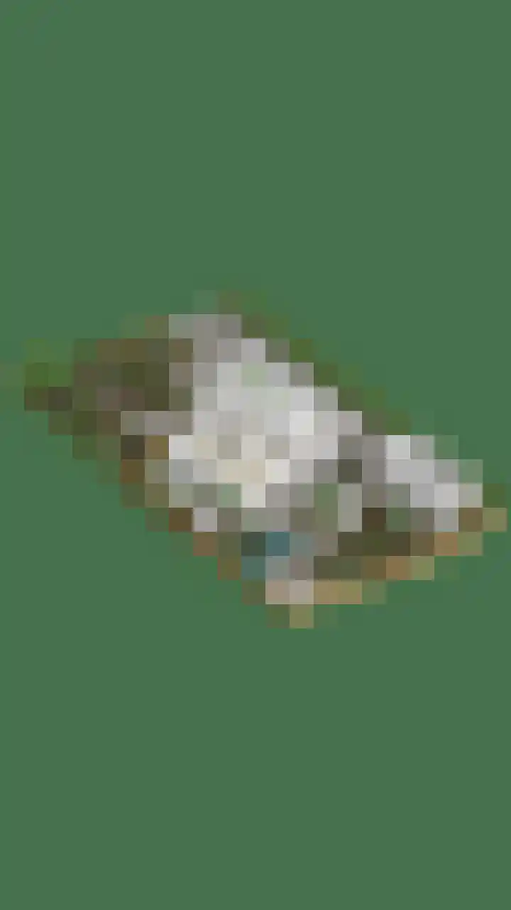 't Ravelijn 33 Klundert thumbnail 73