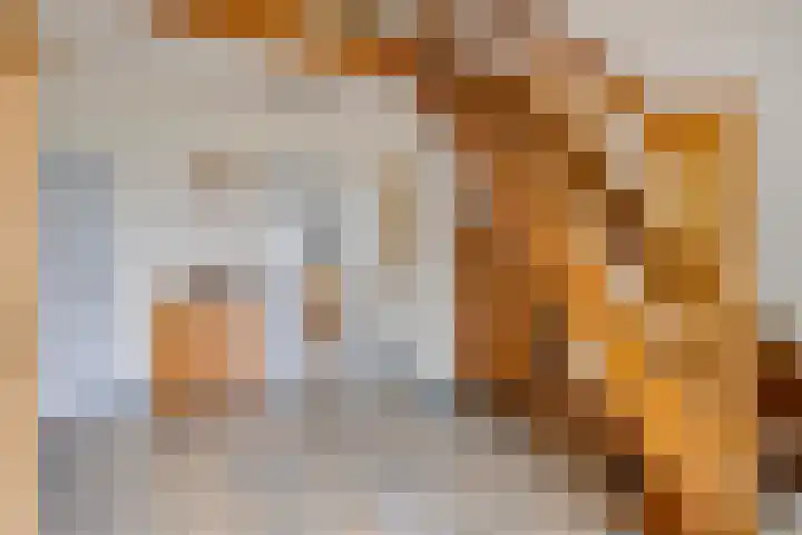 't Ravelijn 33 Klundert thumbnail 9