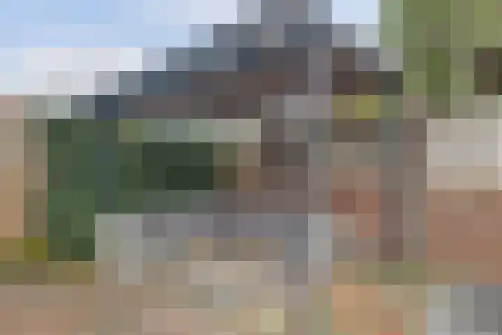 't Reekje 26 Noordhoek thumbnail 32
