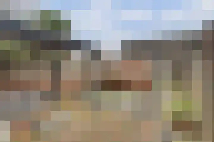 't Reekje 26 Noordhoek thumbnail 33