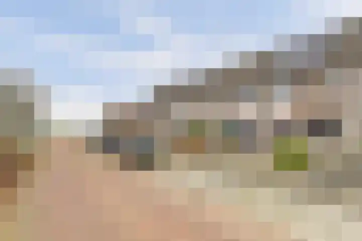 't Reekje 26 Noordhoek thumbnail 44